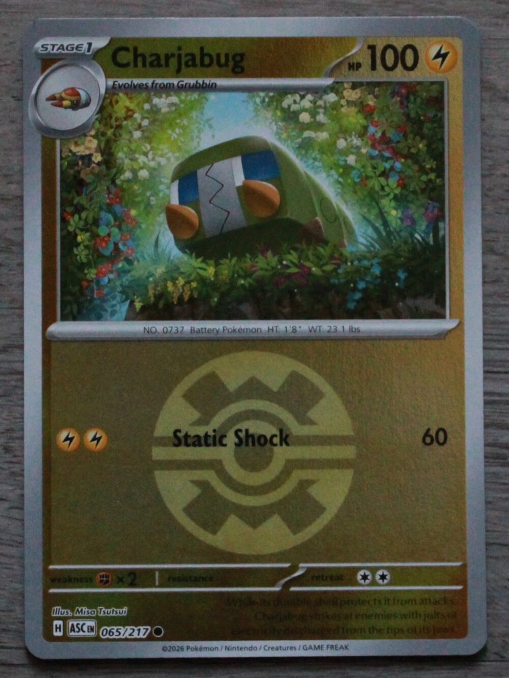 Pokemon "Charjabug" Reverse Holo Ball Trading/Playing Card